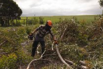 Lumberjack cutting dead tree in forest — Stock Photo