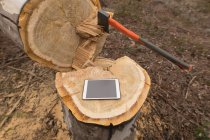 Primer plano de la tableta digital en el tocón del árbol en el bosque - foto de stock