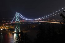 Moderno ponte sospeso con sentiero leggero — Foto stock