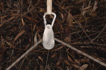 Nahaufnahme eines Seils, das durch den Haken im Wald führt — Stockfoto