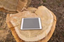 Primo piano del tablet digitale sul tronco d'albero nella foresta — Foto stock
