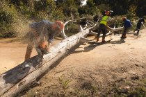 Лесорубы рубят упавшее дерево в лесу за городом — стоковое фото