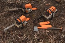 Herramientas de leñador dispuestas en el bosque en el campo - foto de stock