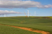 Molino de viento en paisaje verde en un día soleado - foto de stock