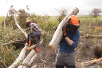 Holzfäller trägt Holzstämme in Wald — Stockfoto