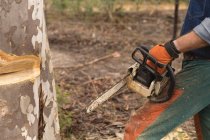 Seção média de lenhador com motosserra cortando tronco de árvore na floresta — Fotografia de Stock