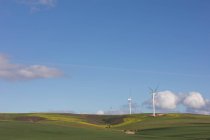 Moinho de vento em paisagem verde em um dia ensolarado — Fotografia de Stock