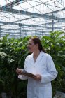 Female scientist with clipboard looking at plants in greenhouse — Stock Photo