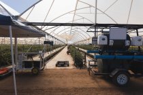 Vue intérieure de la ferme moderne de bleuets avec des machines — Photo de stock
