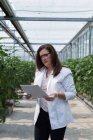 Female scientist checking document in greenhouse — Stock Photo