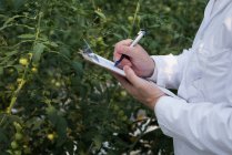 Cropped view of scientist writing on clipboard in greenhouse — Stock Photo