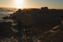 Вид ззаду пари тримає руки під час прогулянки на пляжі — стокове фото