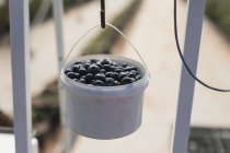 Close-up of blueberries in basket hanging on weighing machine — Stock Photo