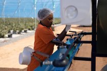 Vue latérale du travailleur travaillant sur une machine dans une ferme de bleuets — Photo de stock