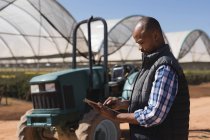 Vista lateral do homem usando tablet digital na fazenda de mirtilos — Fotografia de Stock
