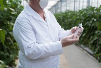 Mid section of scientist holding syringe in greenhouse — Stock Photo