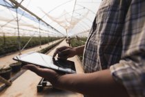 Sección media del hombre utilizando tableta digital en la granja de arándanos - foto de stock