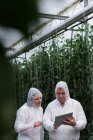 Two scientists working on digital tablet in greenhouse — Stock Photo