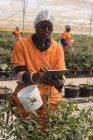 Trabajador usando tableta digital en granja de arándanos - foto de stock