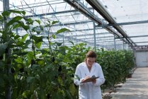 Female scientist writing on clipboard in greenhouse — Stock Photo