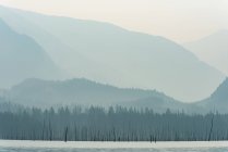 Paesaggio di bellissimi fiumi e montagne con nebbia coperta di boschi — Foto stock