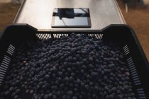 Frische Blaubeeren in Kiste mit digitalem Tablet auf dem Tisch — Stockfoto
