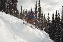 Людина сноубордингу на горі проти дерев — стокове фото