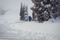 Лижник, катання на лижах на снігу покриті гори — стокове фото
