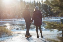 Rear view of romantic couple standing by river in winter — Stock Photo