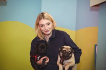 Retrato de mujer que lleva perros pug negros y marrones en el centro de cuidado de perros - foto de stock