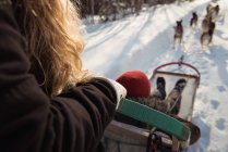 Mid-section of woman on a sleigh ride with Siberian husky — Stock Photo