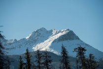 Спокойный вид на горы, покрытые снегом — стоковое фото