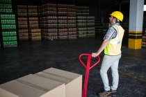 Rückansicht eines männlichen Arbeiters, der Einkaufswagen in Lagerhalle hält — Stockfoto
