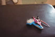 Scissors and pet hair removing tool on table in dog care center — Stock Photo