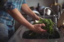 Gros plan de l'homme lavant des légumes dans la cuisine à la maison — Photo de stock