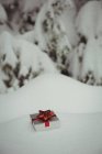 Подарочная коробка в снежном ландшафте зимой — стоковое фото