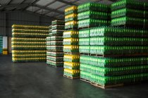 Stack of packed juice bottles in factory — Stock Photo