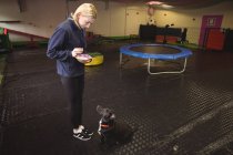 Donna che alimenta il beagle nero al centro di cura del cane — Foto stock