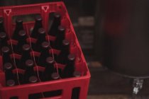 Close-up of sealed beer bottles in crate — Stock Photo
