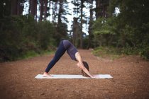 Mujer realizando yoga en colchoneta de ejercicio en el bosque - foto de stock