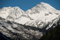 Majestätische Aussicht auf schöne Wälder und schneebedecktes Gebirge — Stockfoto