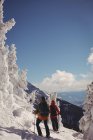 Dois esquiadores esquiando em alpes nevados durante o inverno — Fotografia de Stock