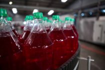 Garrafas de bebidas frias na linha de produção na fábrica — Fotografia de Stock