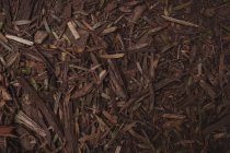 Close-up de lascas de madeira no chão — Fotografia de Stock