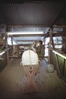Man making surfboard in workshop interior — Stock Photo