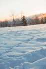View of snow covered landscape during winter — Stock Photo