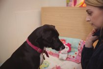 Mulher olhando para cão beagle preto no centro de cuidados do cão — Fotografia de Stock