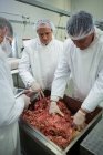 Macellai attenti mescolando carne macinata in fabbrica di carne — Foto stock