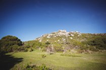 Tranquil view of hill in natural grassland under blue sky — Stock Photo