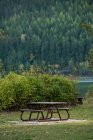 Пустые скамейки у озера в лесном парке — стоковое фото
